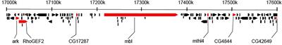 Natural and <mark class="highlighted">Artificial Selection</mark> for Parasitoid Resistance in Drosophila melanogaster Leave Different Genetic Signatures